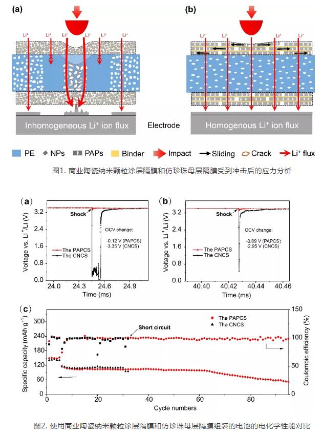 中国科大构建仿珍珠母层隔膜提升锂电池抗冲击性能
