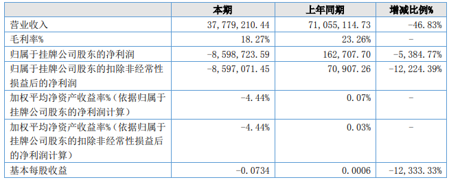 欧赛能源上半年盈利能力（单位：元）