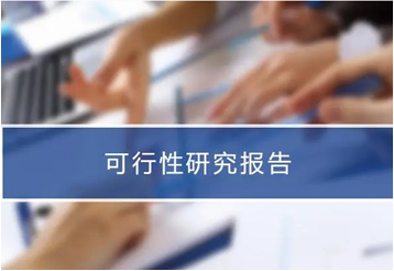 Hubei Lilai, a subsidiary of the group, issued a research report on the consulting project